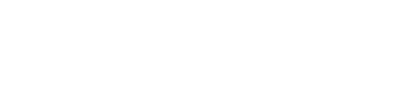 Specialisterne Plataforma de Formación